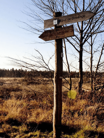 A l’est , l’eden. Découvertes singulières et émotions sont au rendez-vous ! - photo 26